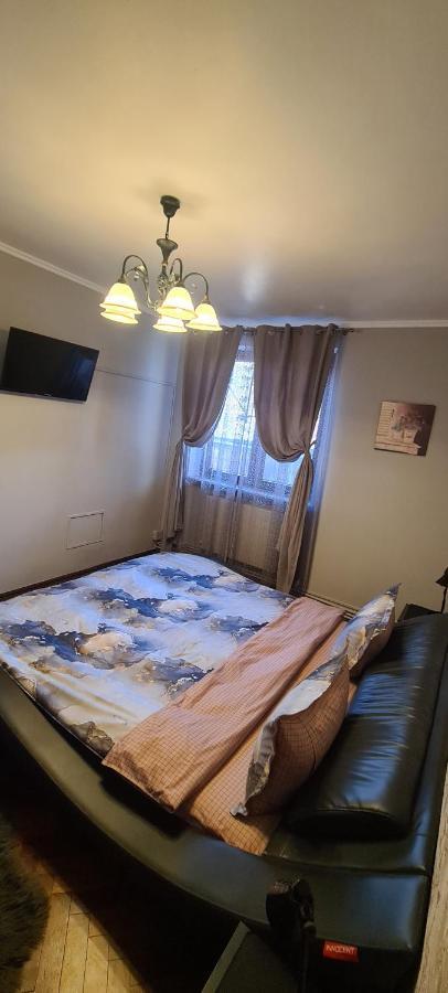 Comfort Home Apartment 1 Petroşani Esterno foto