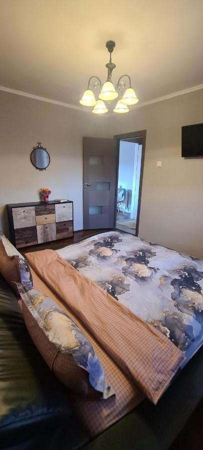 Comfort Home Apartment 1 Petroşani Esterno foto